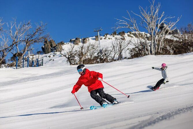 Day Trip To Snowy Mountains From Sydney - Who Should Consider This Tour?