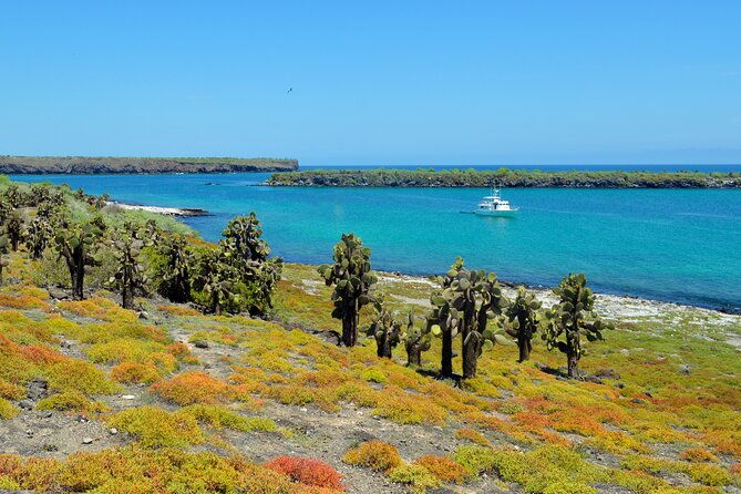 day-trip-to-south-plaza-island-from-puerto-ayora