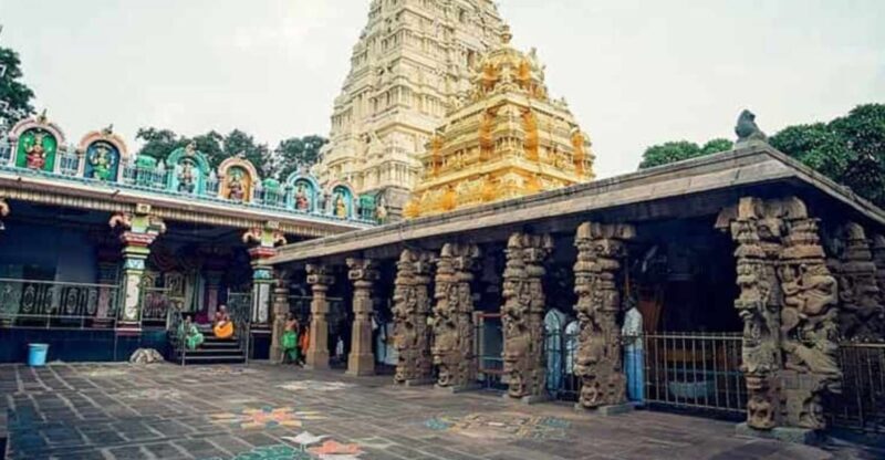 Day Trip to Srisailam (Guided Private Tour from Hyderabad) - Practical Insights and Tips