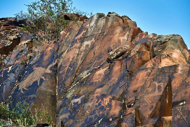 Day Trip to Tanbaly Petroglyphs - An In-Depth Look at the Tour Experience
