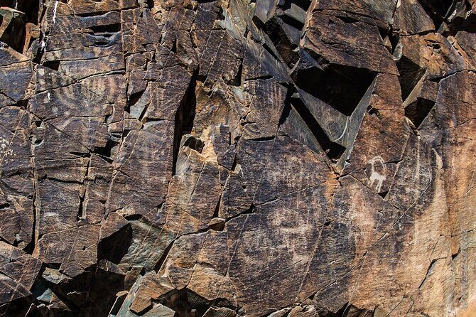 Day Trip to Tanbaly Petroglyphs - Who Should Consider This Tour?