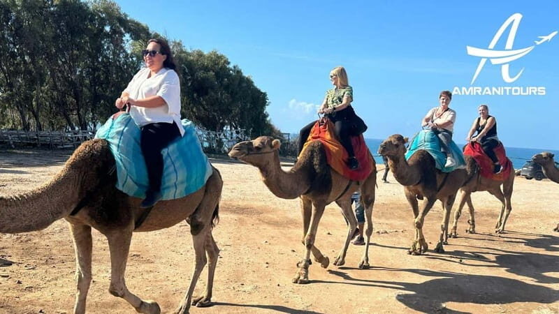 Day Trip to Tangier Morocco from Cadiz all inclusive - Who Is This Tour Best For?