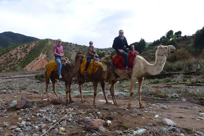 Day trip to the Atlas Mountains and Berber villages from Marrakech, - Starting Point and Transportation