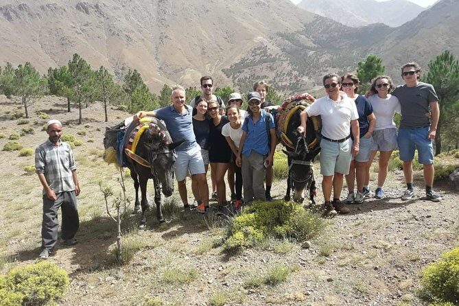 Day Trip To The Atlas Mountains & Camel Ride - Transport & Group Size