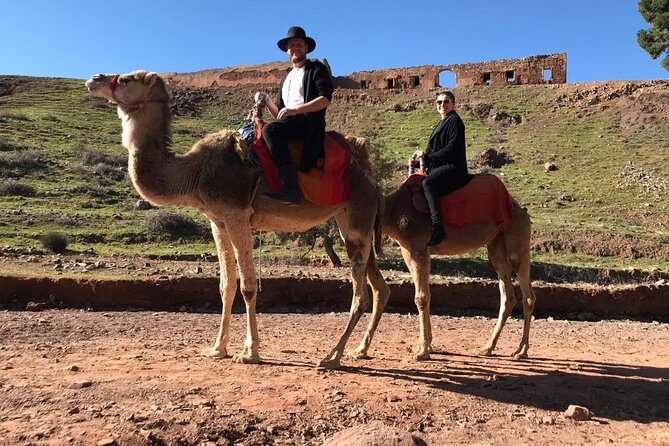 Day Trip to the High Atlas & camel ride - Discovering the High Atlas: What to Expect from This Tour