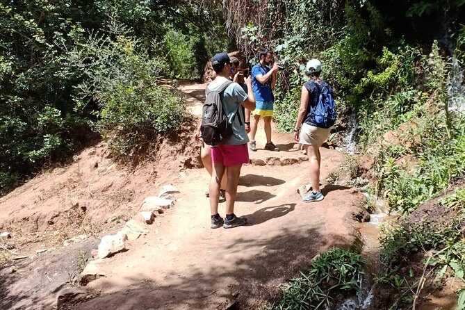 Day trip to the Ouzoud waterfalls. - The Journey to Ouzoud: What to Expect