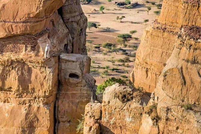 Day trip to Tigray Churches - Who Will Love This Tour?