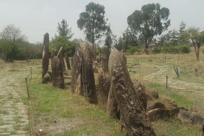 Day Trip to Tiya UNESCO Site & Melka Kunture Archaeological Site - Key Points
