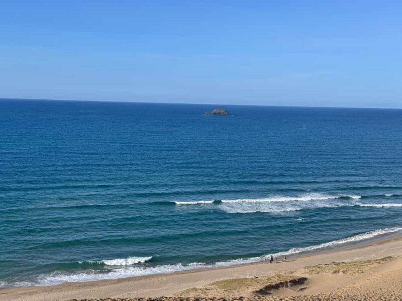 Day Trip to Tottori from Osaka: Dunes, Sake & Scenic Views - A Detailed Look at the Experience