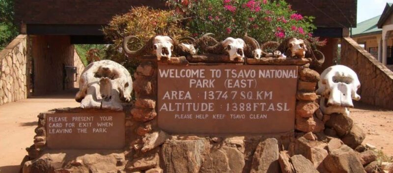 DAY TRIP TO TSAVO EAST PARK FROM MOMBASA/DIANI/MALINDI - The Sum Up  