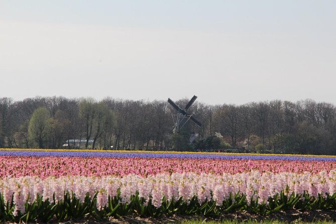 day-trip-to-tulip-gardens-of-keukenhof-from-amsterdam-private-personalized