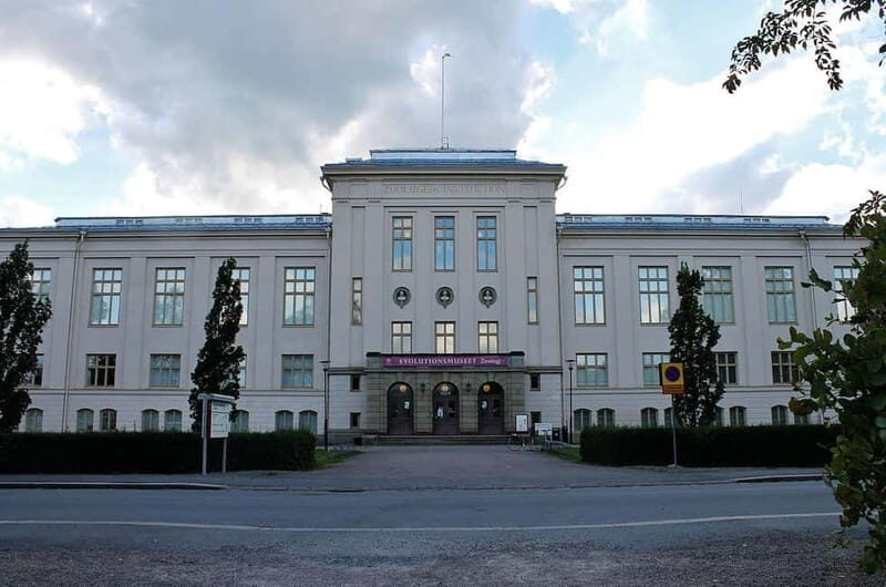 Day Trip to Uppsala - Who Should Take This Tour?