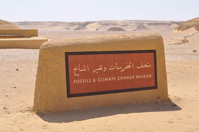 Day Trip to Valley of Whales from Cairo - Wadi El Hitan - Final thoughts