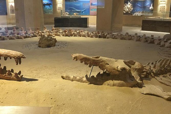 Day Trip to Valley of Whales from Cairo - Wadi El Hitan - FAQ