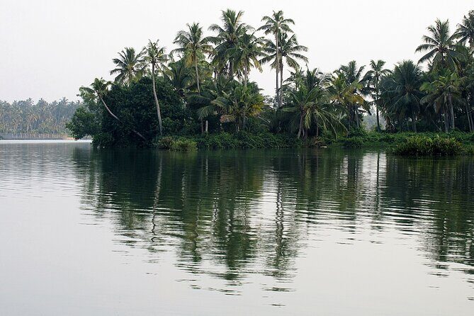 "Day Trip to Varkala from Trivandrum (Guided Full Day City Tour)" - Stop 6: Varkala Cliff & Beach