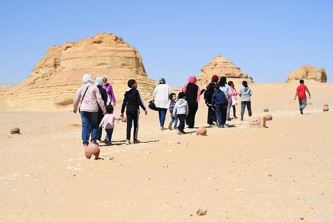 Day Trip to Wadi El-Hitan, Wadi El-Rayyan & Al Fayyom Oasis - Final Thoughts: Who Should Consider This Tour?
