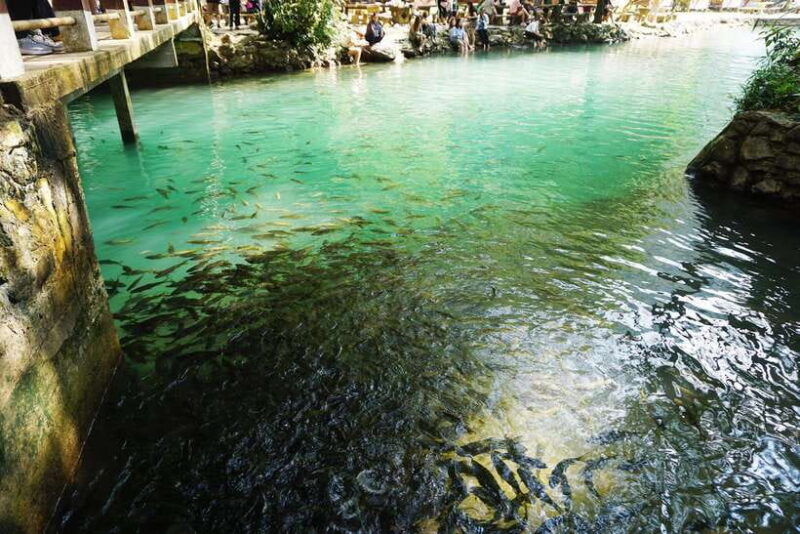 day-trip-vientiane-vangvieng-by-express-train