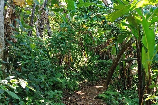 Day Trip Waterfall (Benang Kelambu, Benang Stokel, Sesere) - Practical Details & Value