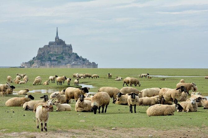 day-trip-with-a-local-driver-mont-saint-michel-from-saint-malo-6-hours