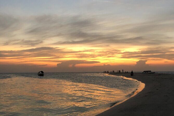 Day Trip Zanzibar: Snorkeling Dolphin Aquarium Turtles and Sunset - Insights from Past Travelers