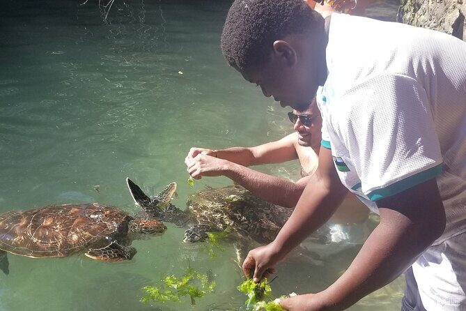 Day Trip Zanzibar: Snorkeling Dolphin Aquarium Turtles and Sunset - Frequently Asked Questions