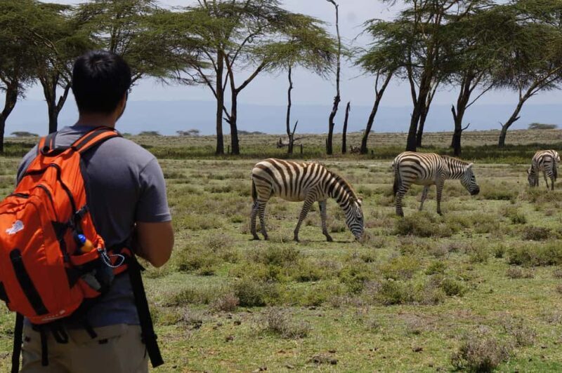 Day Trip:Crescent Island Walking Safari & Naivasha Boat Tour - Why This Tour Is a Great Choice