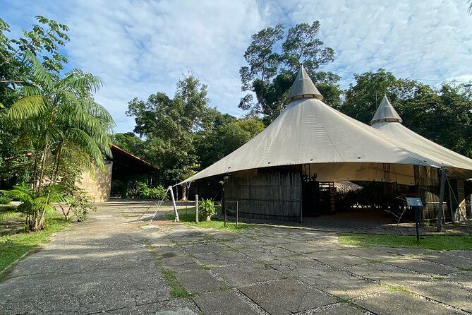 day-use-private-city-tour-historic-musa-museum-of-the-amazon