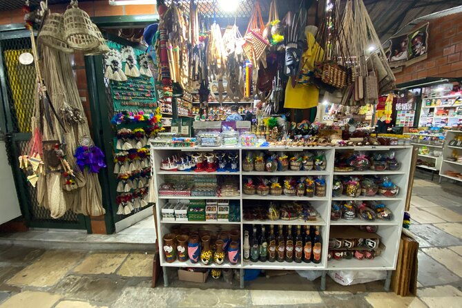 day-use-private-city-tour-historic-musa-museum-of-the-amazon