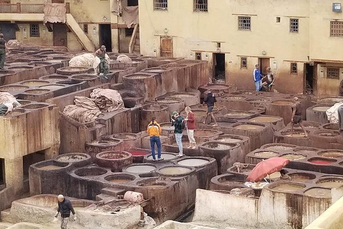Day visit guided in fez - Key Points