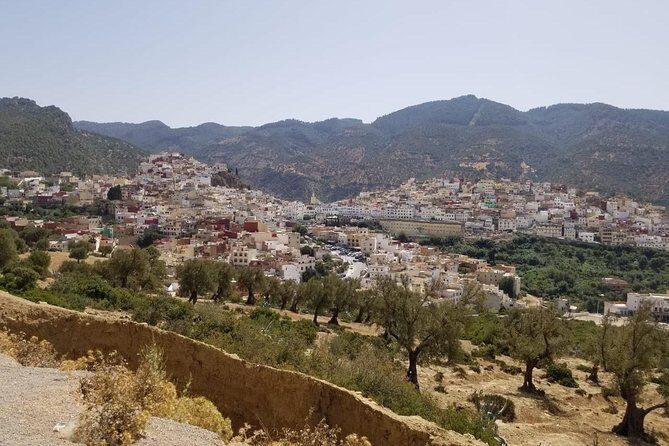 Day visit guided in fez - Transportation and Group Size