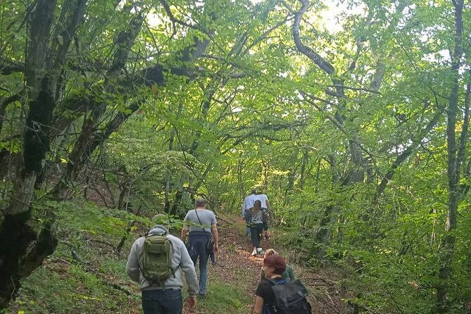 day-walking-tour-in-vashlovani-prot-areaeagle-gorgewith-lunch