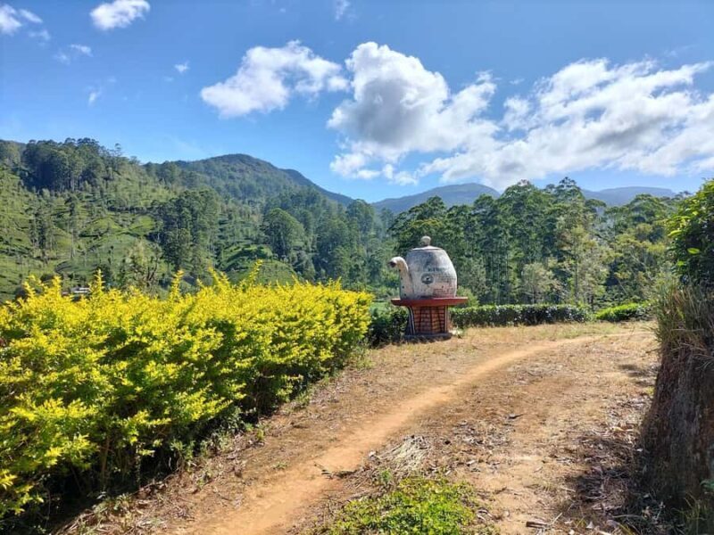 Dayagama: Pekoe Trail Stage 9 & 10 Guided Hike - Exploring the Dayagama: Pekoe Trail Stage 9 & 10 Guided Hike