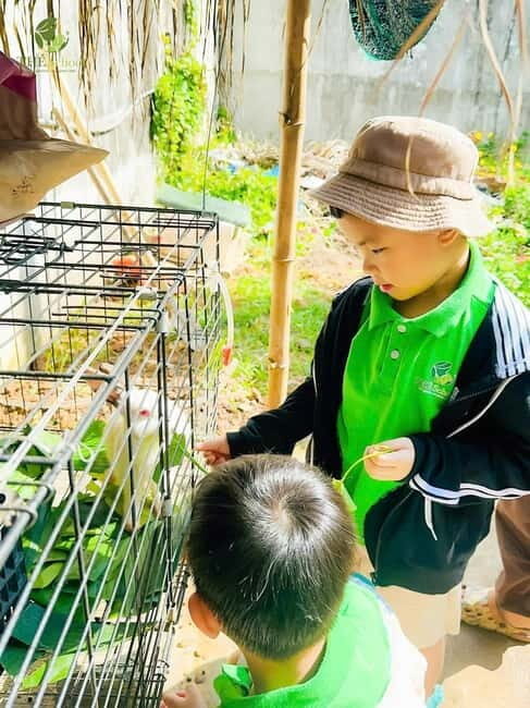 Daycare by Bex in Da Nang| Half Day - Thé School - What to Expect From the Experience