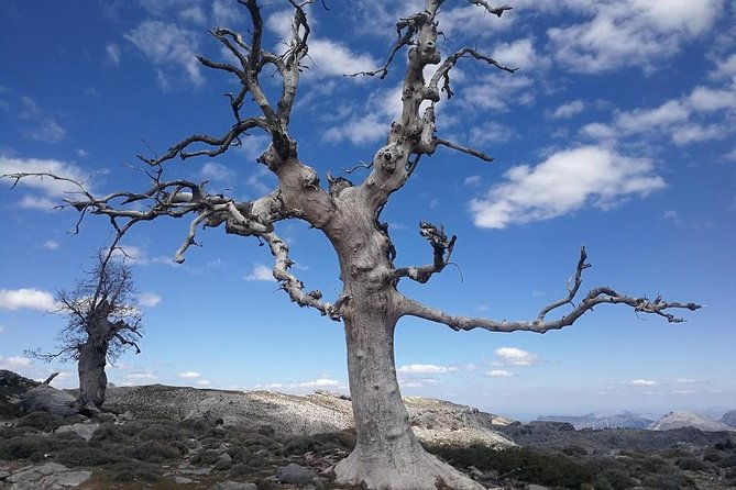 dayhikes-with-pick-up-from-marbella-and-estepona