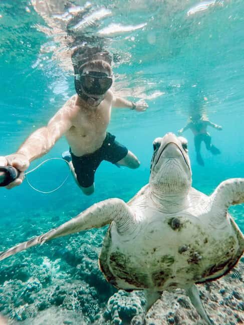Daymaniat Journey: Group Tour with Snorkeling - Exploring the Daymaniyat Islands: What You Can Expect