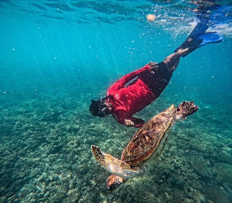 Daymaniat Journey: Group Tour with Snorkeling - The Practicalities