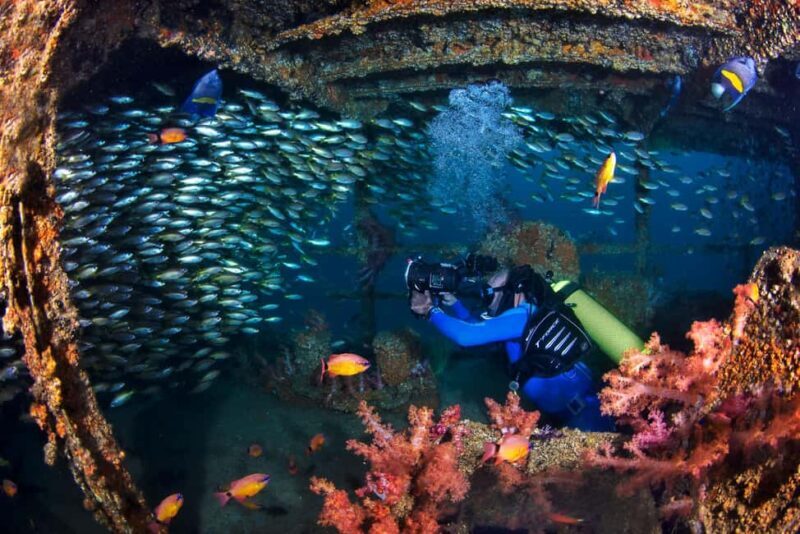 Daymaniyat Diving Trip - Setting Sail: What to Expect on the Daymaniyat Diving Trip  