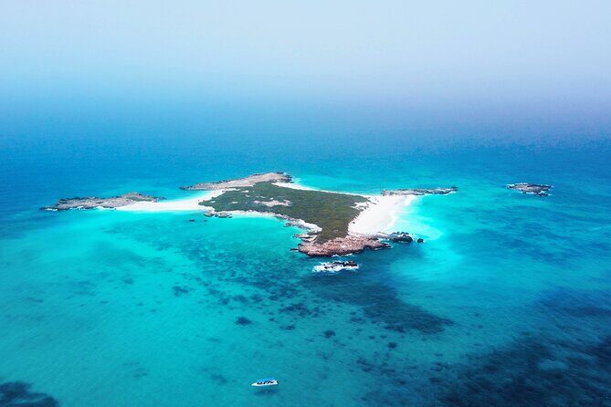 Daymaniyat Islands Oman Sharing Tour - Key Points