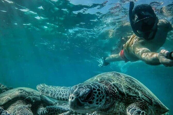 Daymaniyat Islands Snorkeling Half-Day Tour - The Itinerary Breakdown