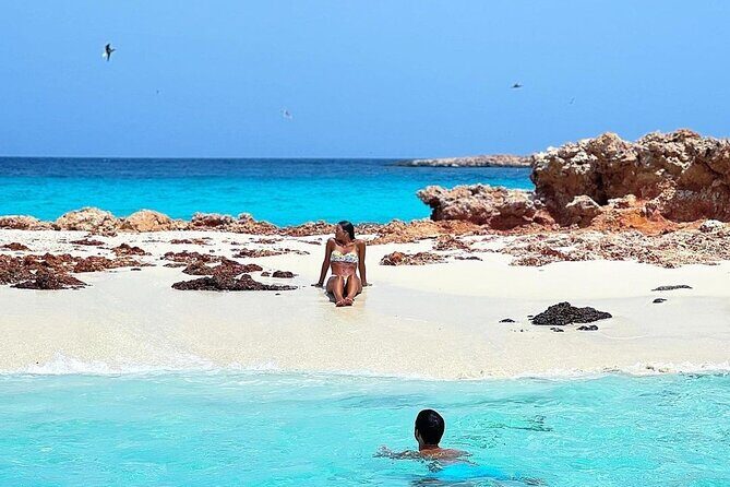 Daymaniyat Islands Snorkeling Half-Day Tour - Practical Tips for Your Trip