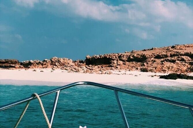 Daymaniyat Islands Snorkeling Half-Day Tour - The Sum Up