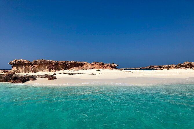 Daymaniyat Islands Snorkeling Half-Day Tour - FAQs