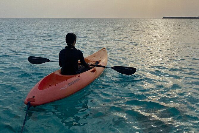 Daymaniyat Islands Snorkeling Sharing Trip - Detailed Review of the Trip Experience