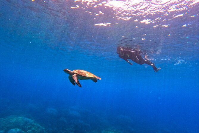 Daymaniyat Islands Snorkeling Sharing Trip - Kayaking and Beach Access