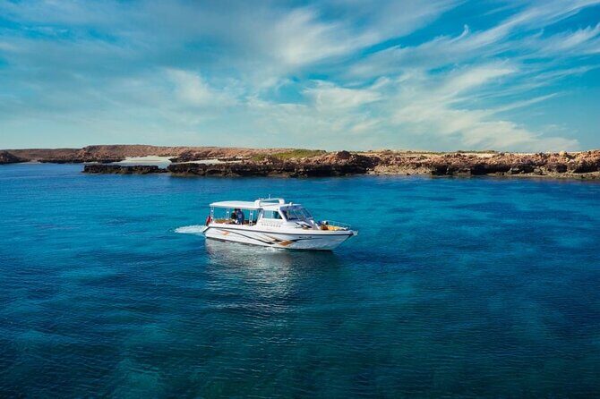 Daymaniyat Islands Snorkeling Sharing Trip - What’s Included and What to Bring