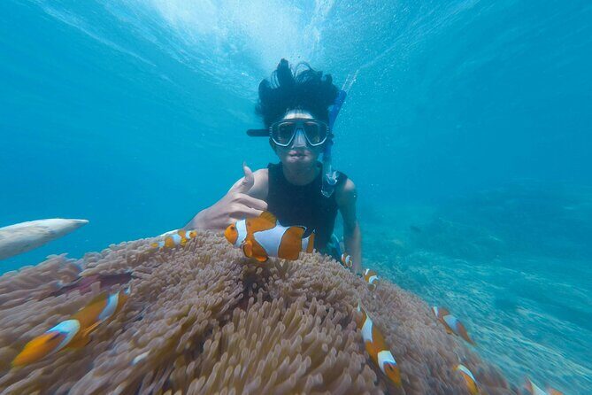 Daymaniyat Islands Snorkeling Tour - FAQ
