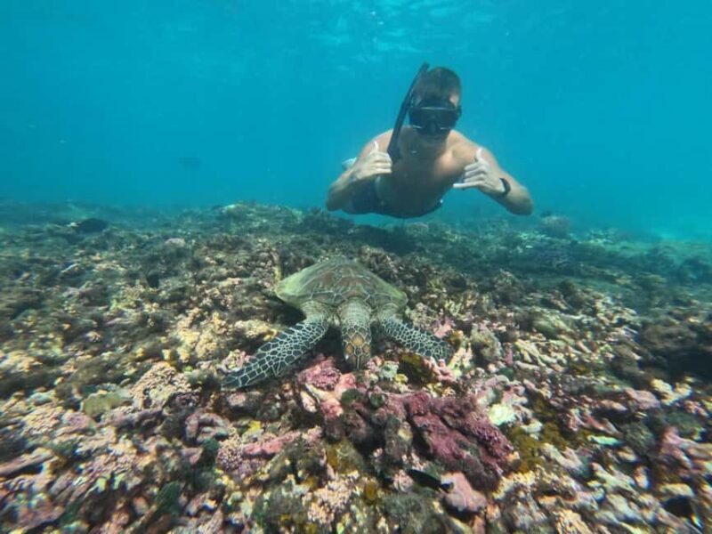 Daymaniyat islands: Visiting and snorkeling in Daymaniyat... - Comfort and Convenience Onboard