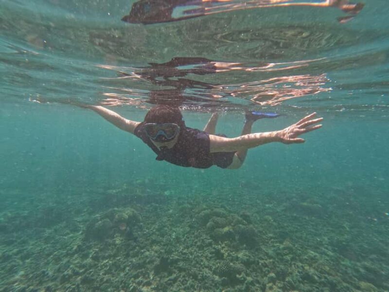 Daymaniyat islands: Visiting and snorkeling in Daymaniyat... - The Sum Up: Is It Worth It?
