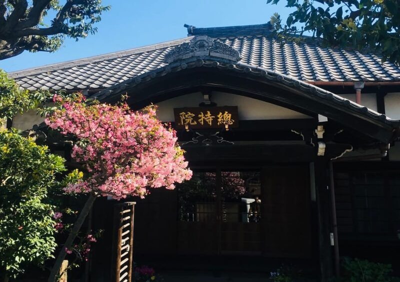 daytime-hanami-cherry-blossom-time-with-a-local