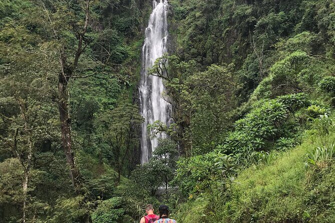 DayTour to Materuni Waterfalls with Coffee & Hotsprings Excursion - Exploring the Best of Tanzania: A Deep Dive into the Materuni Waterfalls, Coffee & Hotsprings Tour